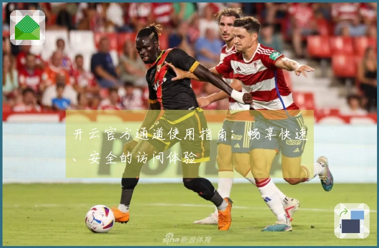 开云官方通道使用指南：畅享快速、安全的访问体验