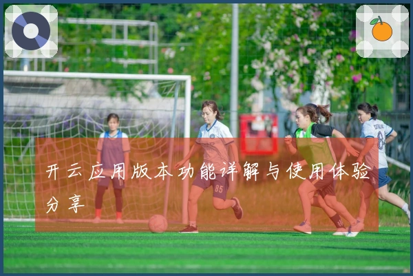 开云应用版本功能详解与使用体验分享