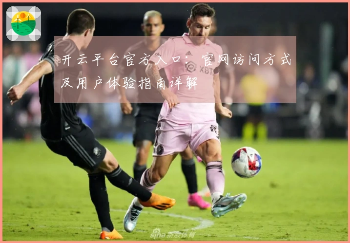 开云平台官方入口：官网访问方式及用户体验指南详解